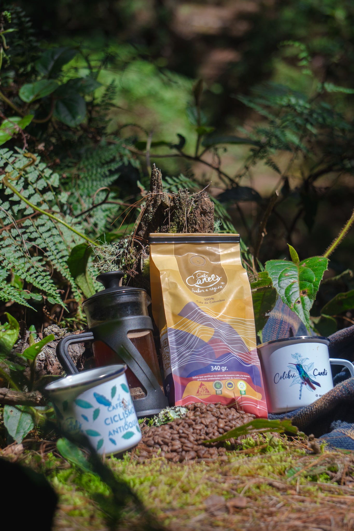 Kit Prensa Francesa Plástica + Café Tradicional 340gr